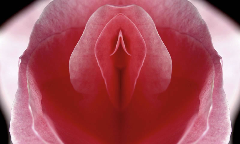 Labia Minoraplasty